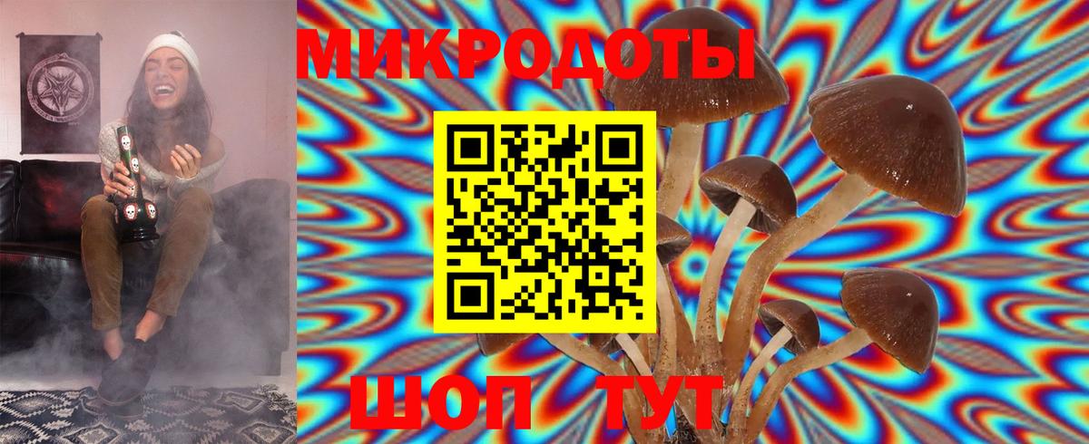 Саяногорск  как найти   Вход с VPN  Псилоцибиновые грибы Psilocybine cubensis 