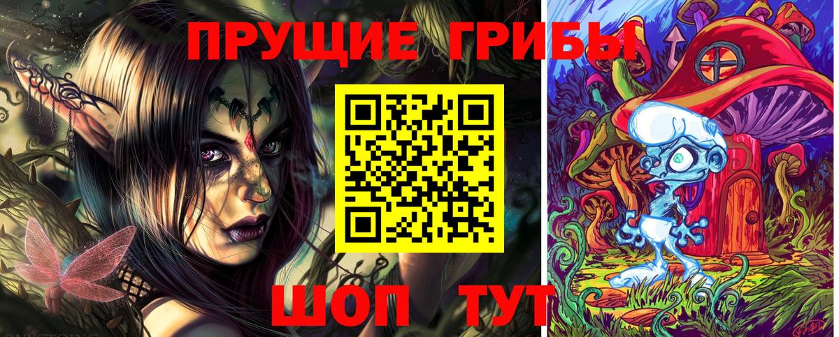 Псилоцибиновые грибы мицелий Саяногорск